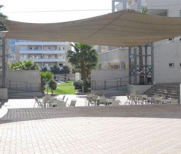 Piso de alquiler en Carrer Assagador de la Marjal, 3, Les Bassetes ... - Photo 6