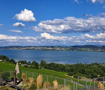 BAS DE CHAUX 1, Appartement de 2.5 pièces à la vue imprenable - N12 - Photo 5