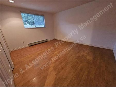 5649 Elsom Avenue DOWN Burnaby - Photo 3