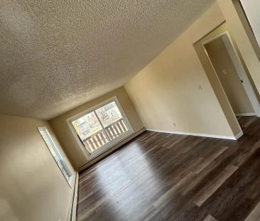 9916 156 Street Northwest — Unit 201 - Photo 2