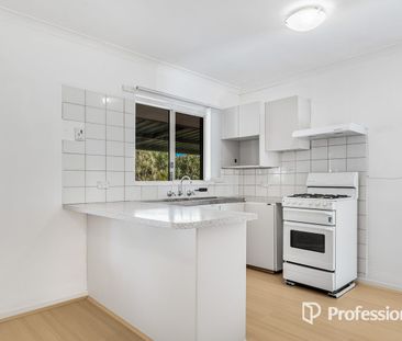 Room to Move - Large Backyard & Entertainer's Patio - Photo 3