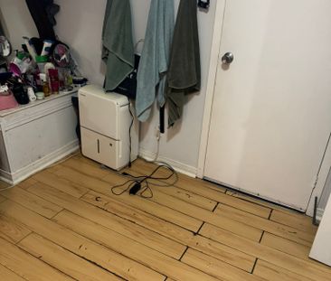 For Lease - 14 Tofield Crescent Unit# Lower/Basement, Toronto, Ontario - Photo 3