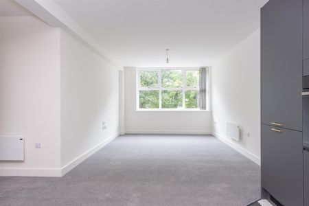 Rent Apt 13 Chantrey Picture House Apts, Chesterfield Road, Woodseats, S8 £825pcm - Photo 4