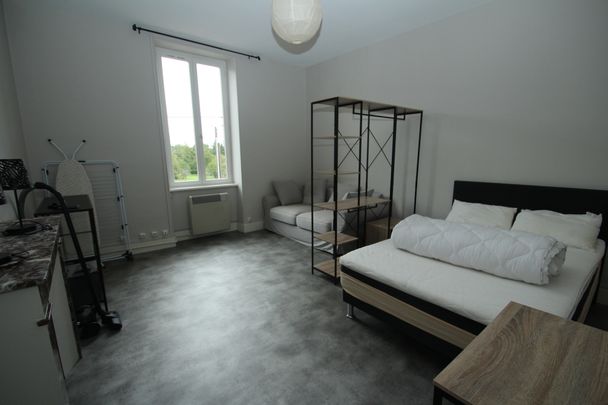 Location Appartement 1 pièce 37m² DECIZE 58300 - Photo 1