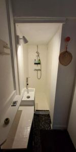 A louer T1 meublé 19.40 m2 Jardin public - Photo 4