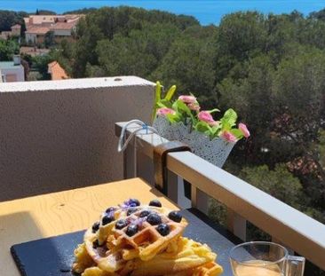 2 PIECES MEUBLE A BOULOURIS DERNIER ETAGE BALCON TRES BELLE - Photo 3