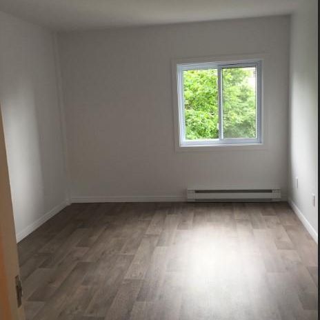 GRAND 3 ½ - ENTIÈREMENT RÉNOVÉ , 1165$/MOIS TOUT COMPRIS! DISPONIBLE POUR JUILLET - Photo 1