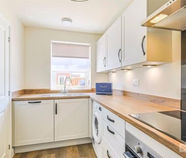 2 bedroom house to rent Stedman Avenue, Thurston, Bury St. Edmunds,... - Photo 4