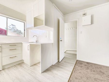 Newly renovated 1-Bedroom - Photo 4