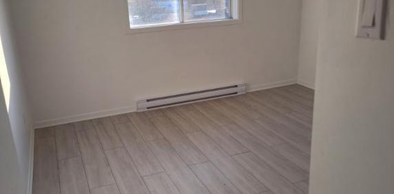 Grand 4 1/2 rénové avec aire ouverte à Ste-Julie - Photo 2