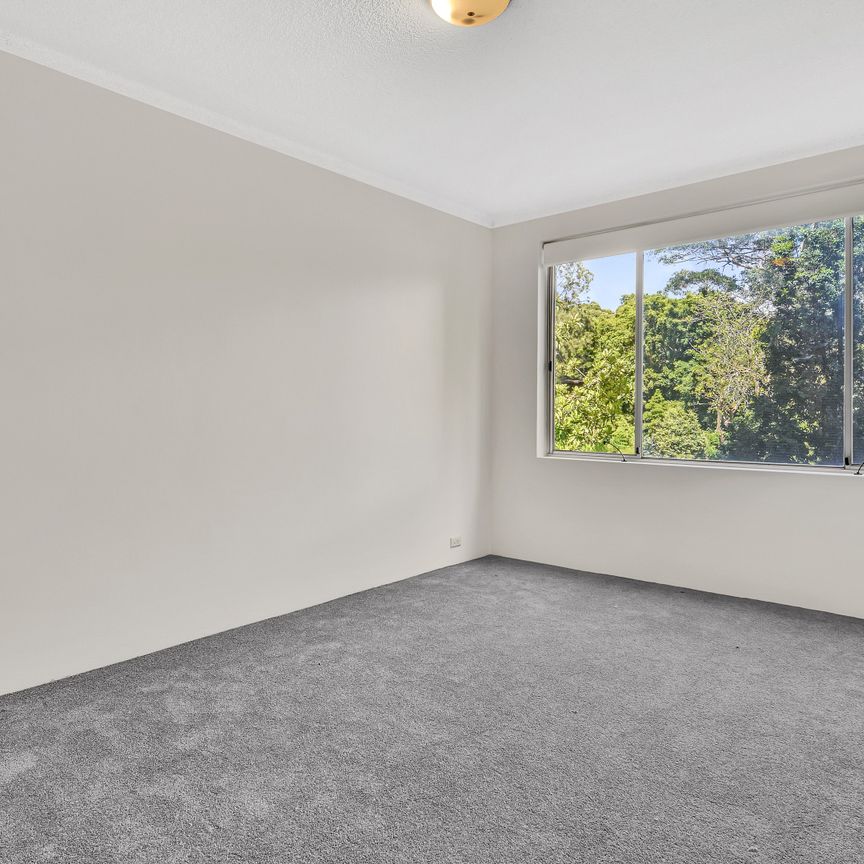 1/892 Pacific Highway, Chatswood NSW 2067 - Apartment For Rent | Domain - Photo 1