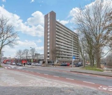 Judith Leysterstraat 0ong, 1816 JX Alkmaar, Nederland - Photo 2
