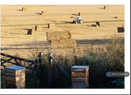 4 bedroom detached house to rent - Photo 5