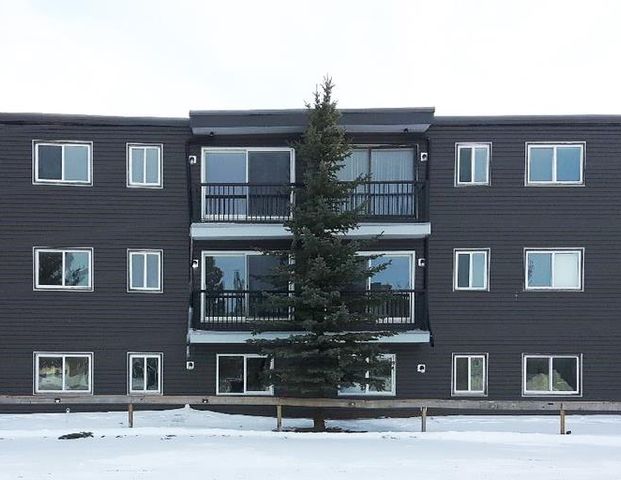 Sikanni Place | 11019 101 Avenue, Fort St. John - Photo 1