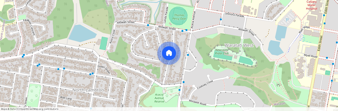 20 Parkhill Parade, NSW 2298, Waratah West