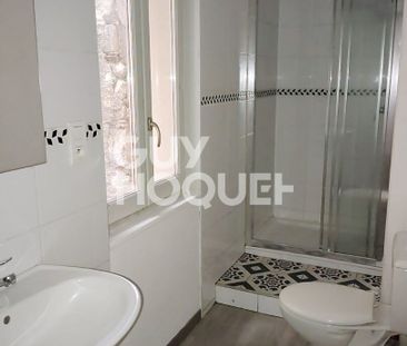 Location Appartement 1 pièce 21m² AUXERRE 89000 - Photo 1