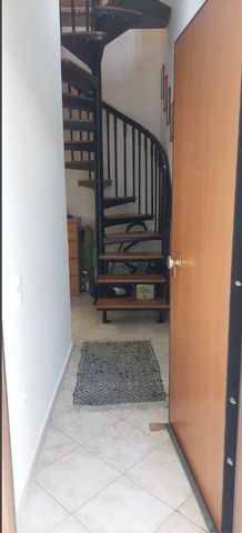 Μονοκατοικία για ενοικίαση Γαλατάς (Νέα Κυδωνία) - Photo 4