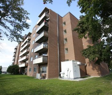 Collingwood Place - Photo 2