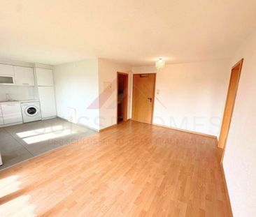 2 Zimmer, 43 m², 2. Stock - Photo 1