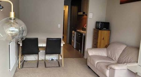 Fully furnished city fringe studio - Photo 4