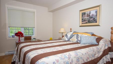 Lexington Landing - Photo 4