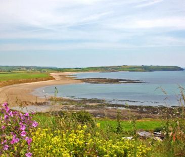 The Grey House, Tower Hill, Ardmore, Co Waterford, P36 TK82 - Photo 6