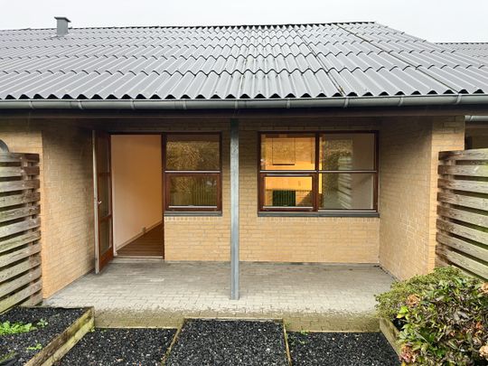 Hyggeligt 1-værelses rækkehus med egen have - Photo 1