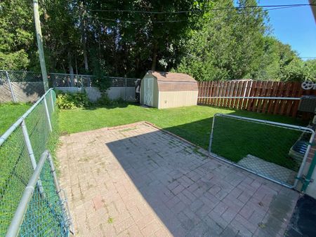 For Lease - 135 Willow Lane Unit# Main, Newmarket, Ontario - Photo 4