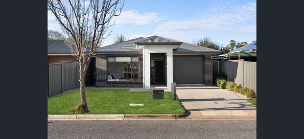 4-bedroom shared house / townhouse, Murray street - Photo 1