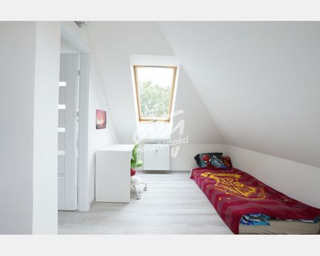 Szczecin - Zdjęcie 5
