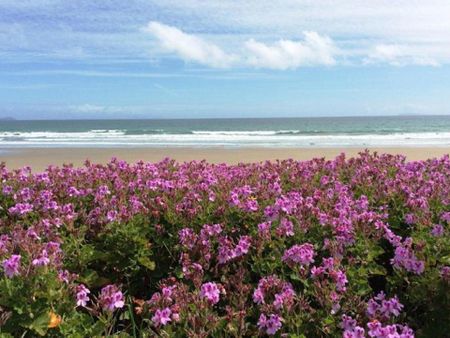 1980's Beach Front Beauty - Photo 2