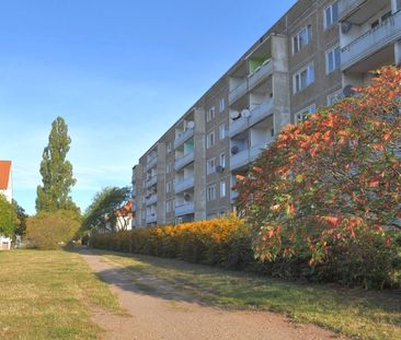 ideale Singlewohnung zur Selbstrenovierung - Foto 3