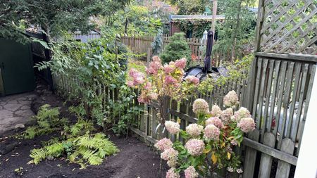 Maison à louer à Montréal (Côte-des-Neiges/Notre-Dame-de-Grâce) - Photo 5