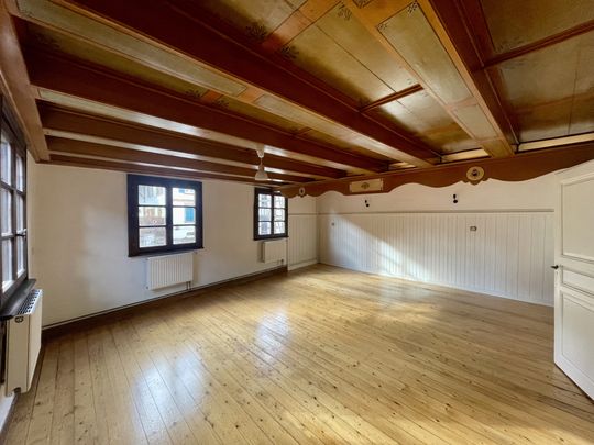 QUATZENHEIM, 67117, Quatzenheim - Photo 1