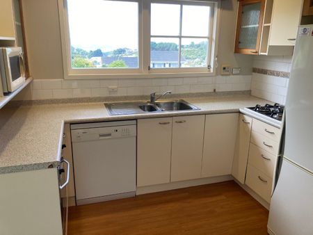 21 Mclintock Street, Johnsonville - Photo 3