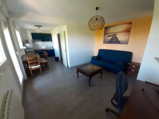 Appartement 1 pièce - 69100 Villeurbanne - Photo 1