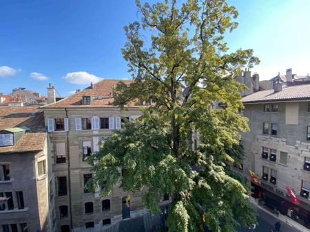 Magnifique appartement de 6 pièces à la Vieille Ville avec échappée sur le lac - Photo 3