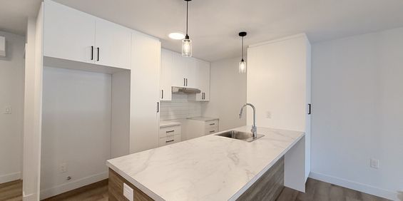 4.5+bureau St-Gilles, 1075$/mois - Photo 3