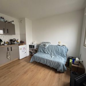 Location Appartement 1 pièce 19m² NANTES 44200 - Photo 2