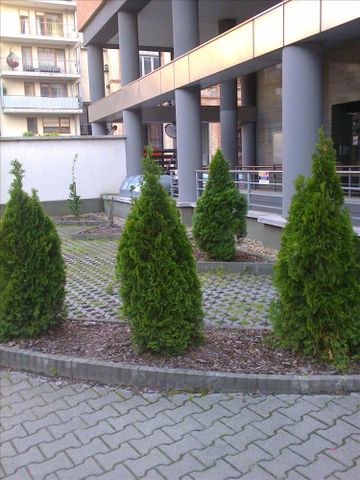 Kiadó lakás - Budapest III. kerület - Photo 3