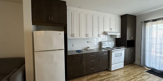 Appartement 3 1/2 Quartier Rosemont - Photo 3