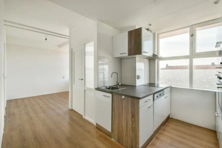 Cornelis van Vollenhovenstraat 186 - Foto 5