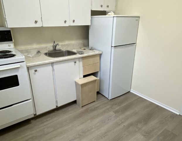 33 Berts Drive - Photo 1