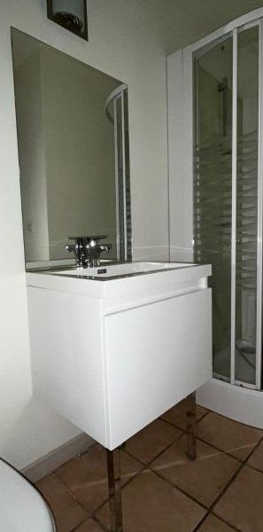 Location Appartement 1 pièce 21m² BOURGES 18000 - Photo 2
