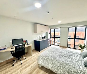 Oak Studio - Photo 5