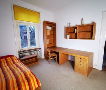 4-ROOM APARTMENT IN ZURICH – KREIS 7 FLUNTERN, FURNISHED, TEMPORARY - Photo 2