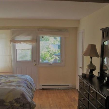 3 1/2 Accueillant dans triplex Ville Saint-Laurent - Photo 3