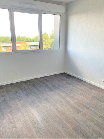 Location Appartement 1 pièce 19m² AUZEVILLE TOLOSANE 31320 - Photo 5