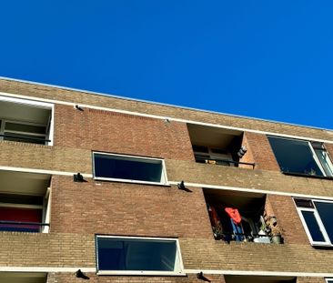 Keurig 3-kamer appartement in de wijk Hazenkamp - Photo 1