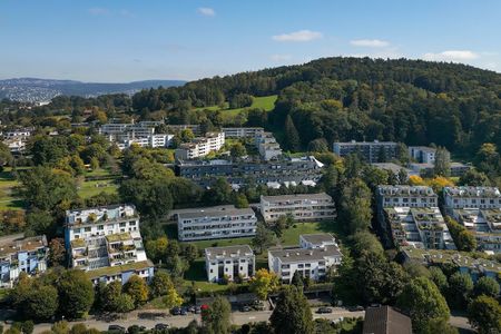 6.5 Zimmer, 225 m² - Photo 4